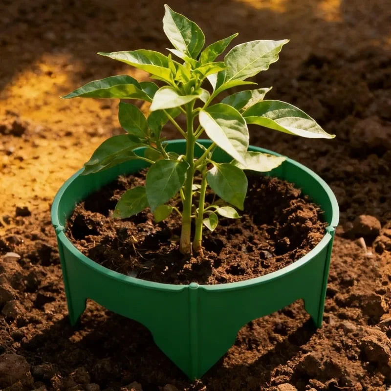 RootFlow Tiefenbewässerungs-Pflanzringe – Schutz- und Bewässerungssystem für gesundes Wurzelwachstum