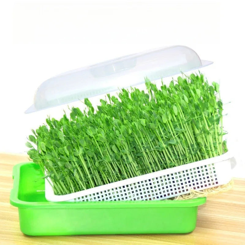 Sproutella | Keimschalen-Set für Sprossen & Microgreens | Hydrokultur-Anzuchtschale ohne Erde | Für Bohnen, Erbsen & Keimsaaten