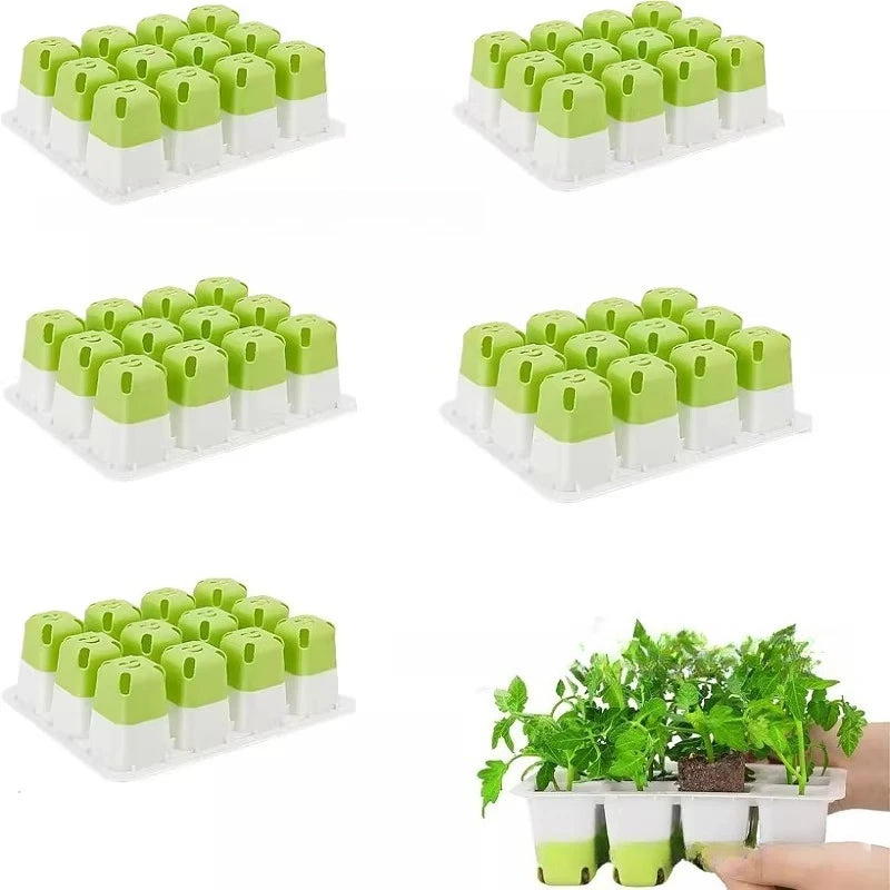 Seedora | Anzuchtplatte mit 12 Pflanzzellen | Wiederverwendbare Aussaatschale für Kräuter, Gemüse und Blumen