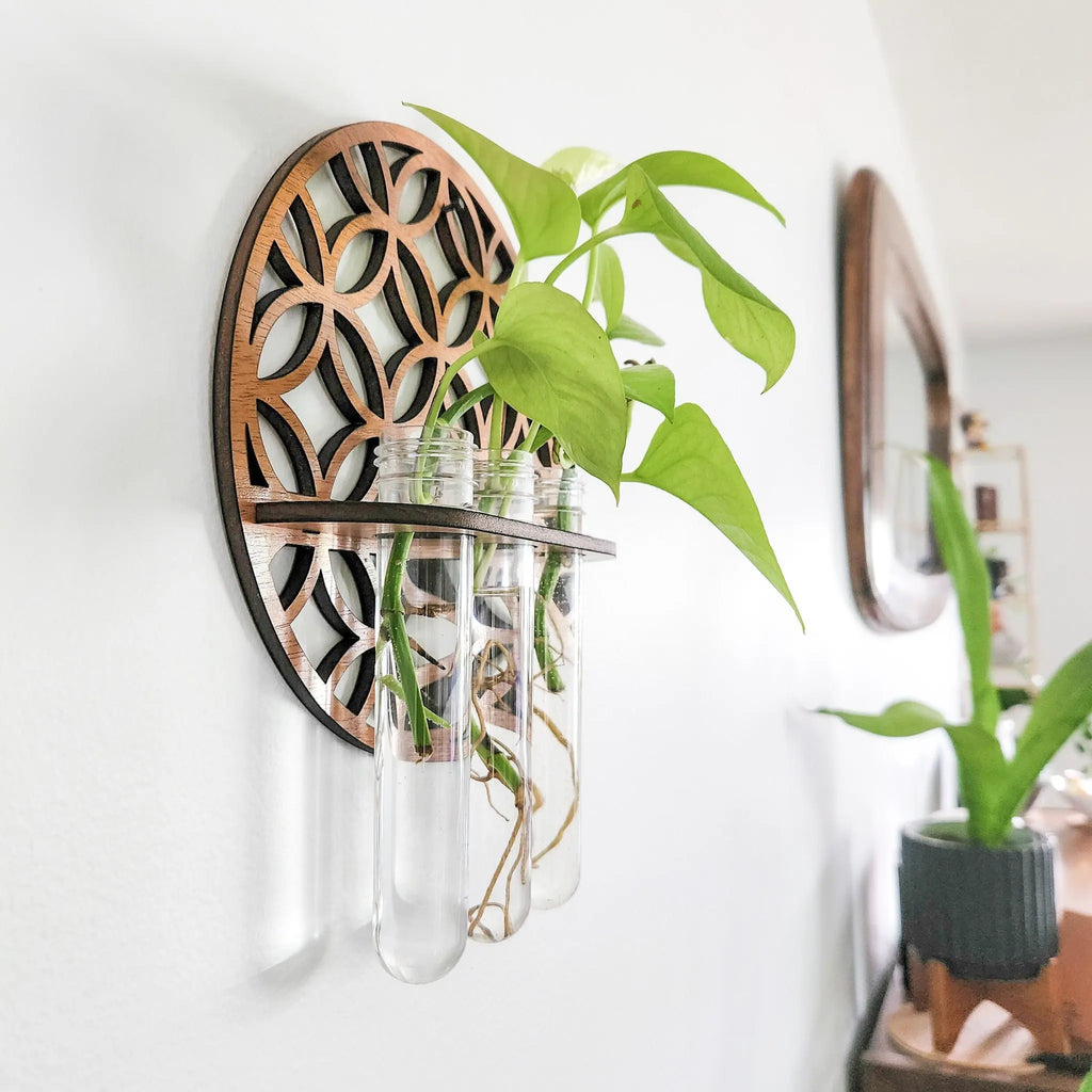 HydroViva | Wand-Pflanzenvermehrungsstation mit 3 Reagenzgläsern | Moderne Hydroponik-Wandvase aus Holz | Für Zimmerpflanzen & Stecklinge