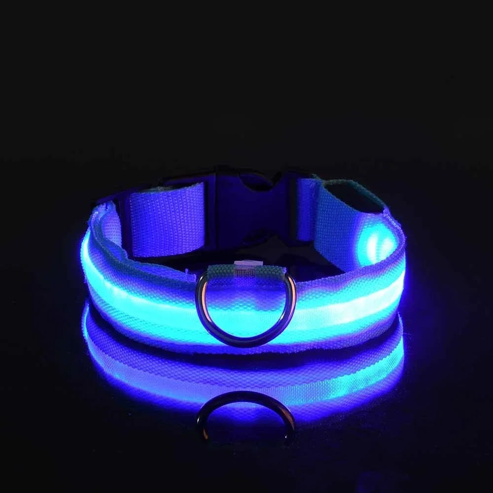 LED Hundehalsband | Leuchtendes Sicherheits-Halsband für Hunde | Wiederaufladbar & Blinkend | Lumipaw
