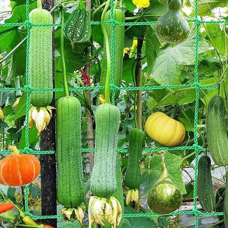 Rankora | Ranknetz aus Nylon | Extra Starkes Kletternetz für Gurken, Tomaten & Weinreben | Belastbares Gartennetz