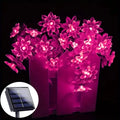 Lumiflora | Solar-Lichterkette Lotusblüte | Warmweiß | Wetterfest | 20–100 LEDs | 5–12 m