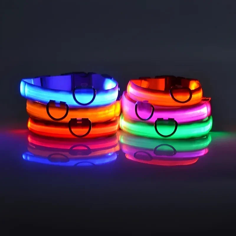 LED Hundehalsband | Leuchtendes Sicherheits-Halsband für Hunde | Wiederaufladbar & Blinkend | Lumipaw