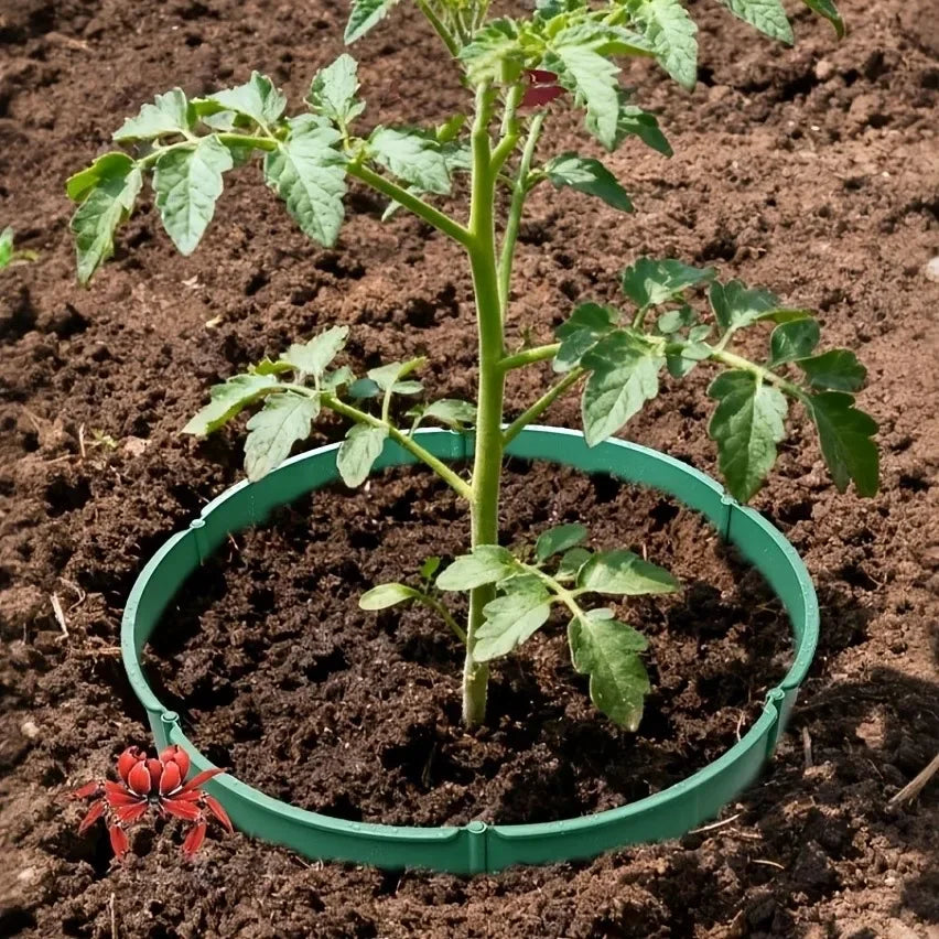 RootFlow Tiefenbewässerungs-Pflanzringe – Schutz- und Bewässerungssystem für gesundes Wurzelwachstum