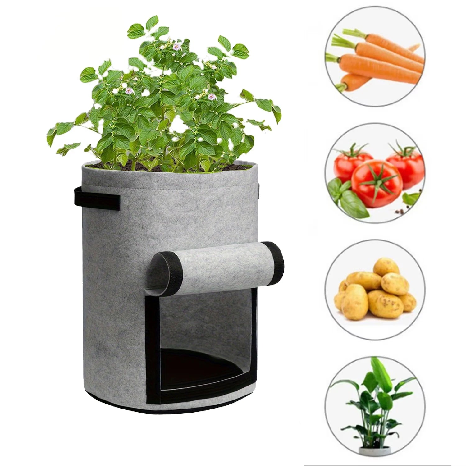 GrowVista | Pflanzsack mit 360° Sichtfenster | Atmungsaktiver Kartoffel-Pflanzbeutel für Gemüse und Blumen