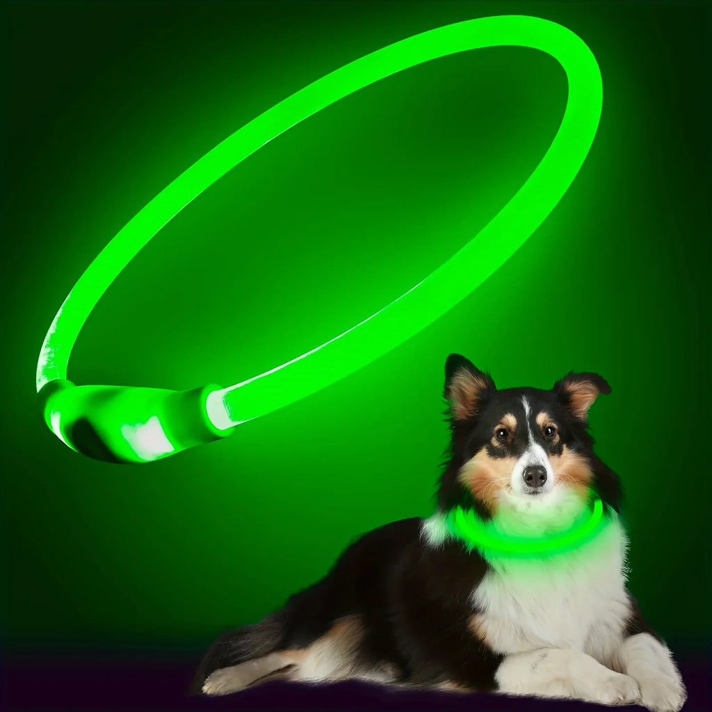 LED Hundehalsband | Wiederaufladbares Leuchthalsband für Hunde | USB-Aufladung & Anti-Verlust Sicherheit | Glowtail