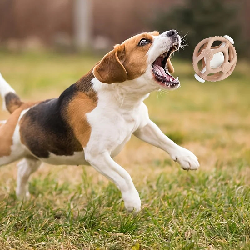 BelloRing Hundespielzeug Kauring mit Glocke | Wurf- & Flugring | Bissfest & langlebig | Interaktives Training | Für Solo- & gemeinsame Spiele