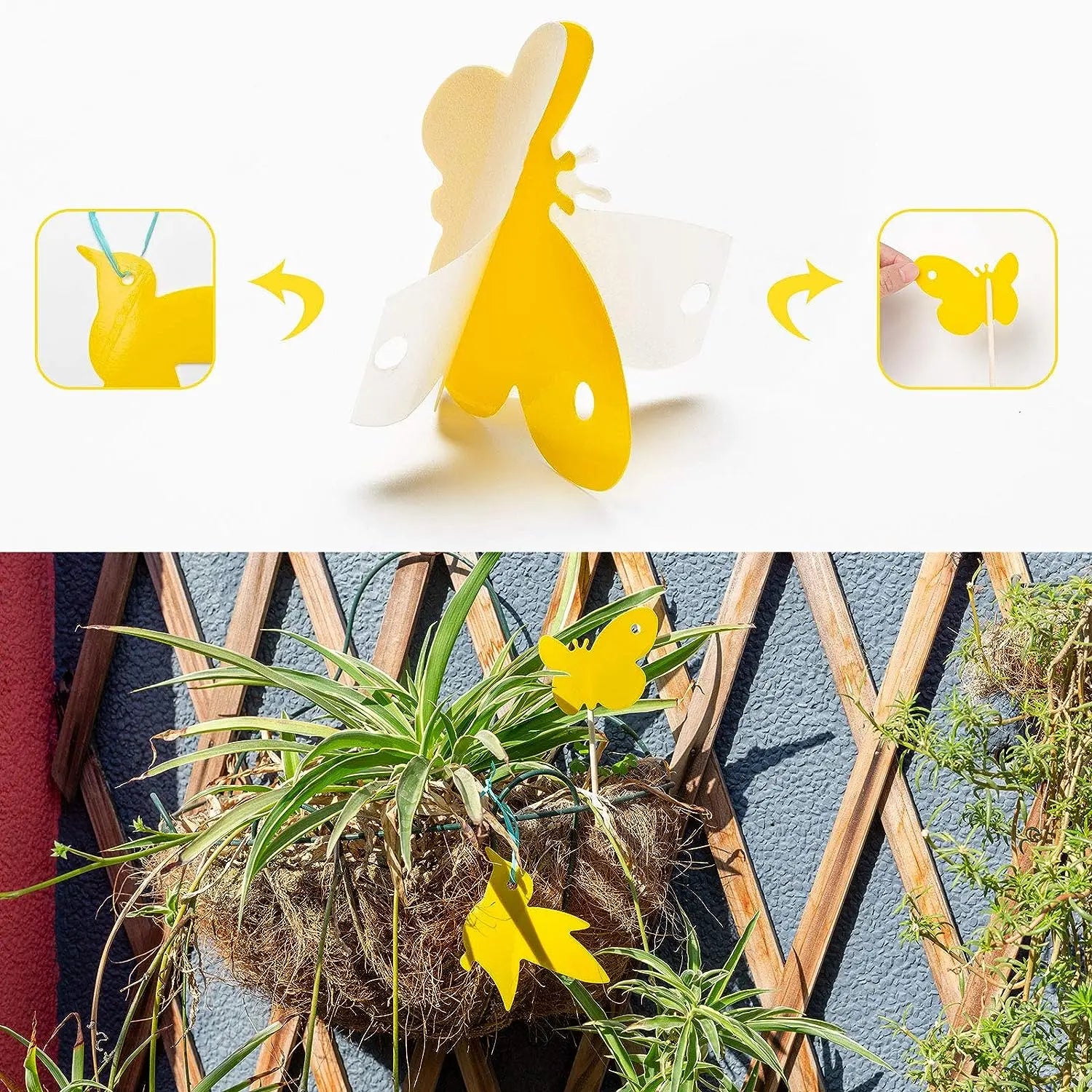 BioFang 59-tlg. Gelbe Fliegenfalle | Doppelseitige Klebefallen für Insekten & Fruchtfliegen | Nicht-toxisch für Pflanzen