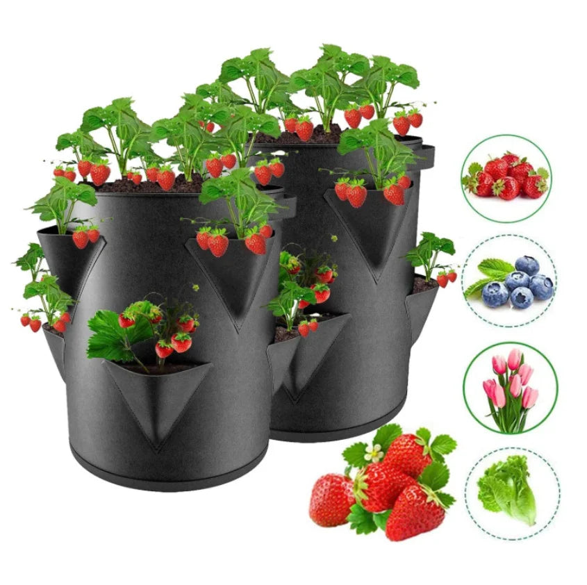 BerryGrow Erdbeer Pflanzsack | Atmungsaktiver Grow Bag | 5/7/10 Gal (20–45 × 25–35 cm) | Balkon & Garten Pflanzenbehälter