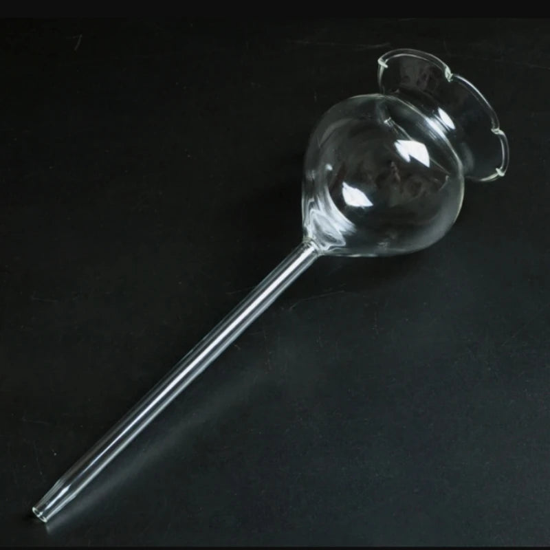FloraGlobe Selbstbewässernde Pflanzkugeln | Handgeblasenes Glas 2er Set | Automatische Bewässerung