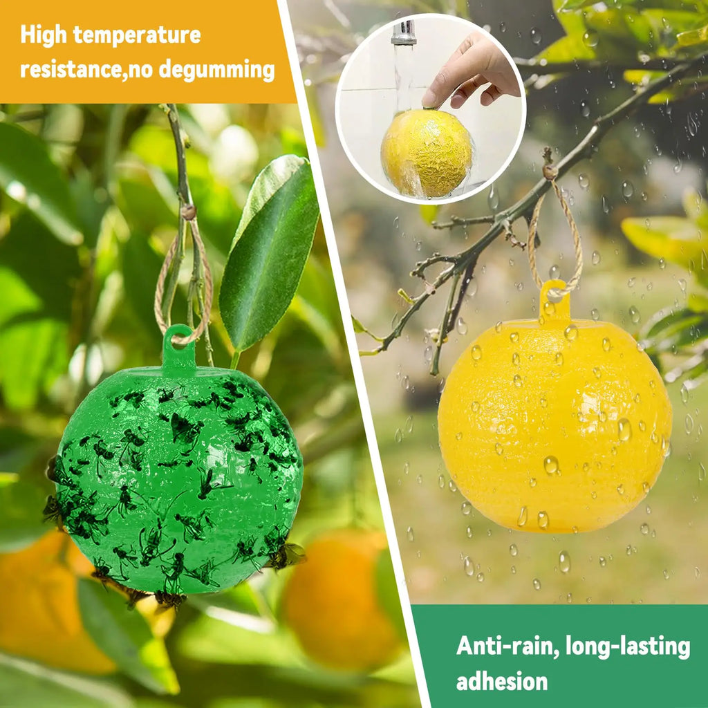 FlyGuard Hängende Obstfliegenfalle | 8 cm | Insekten- & Mückenfänger | Garten & Innenbereich
