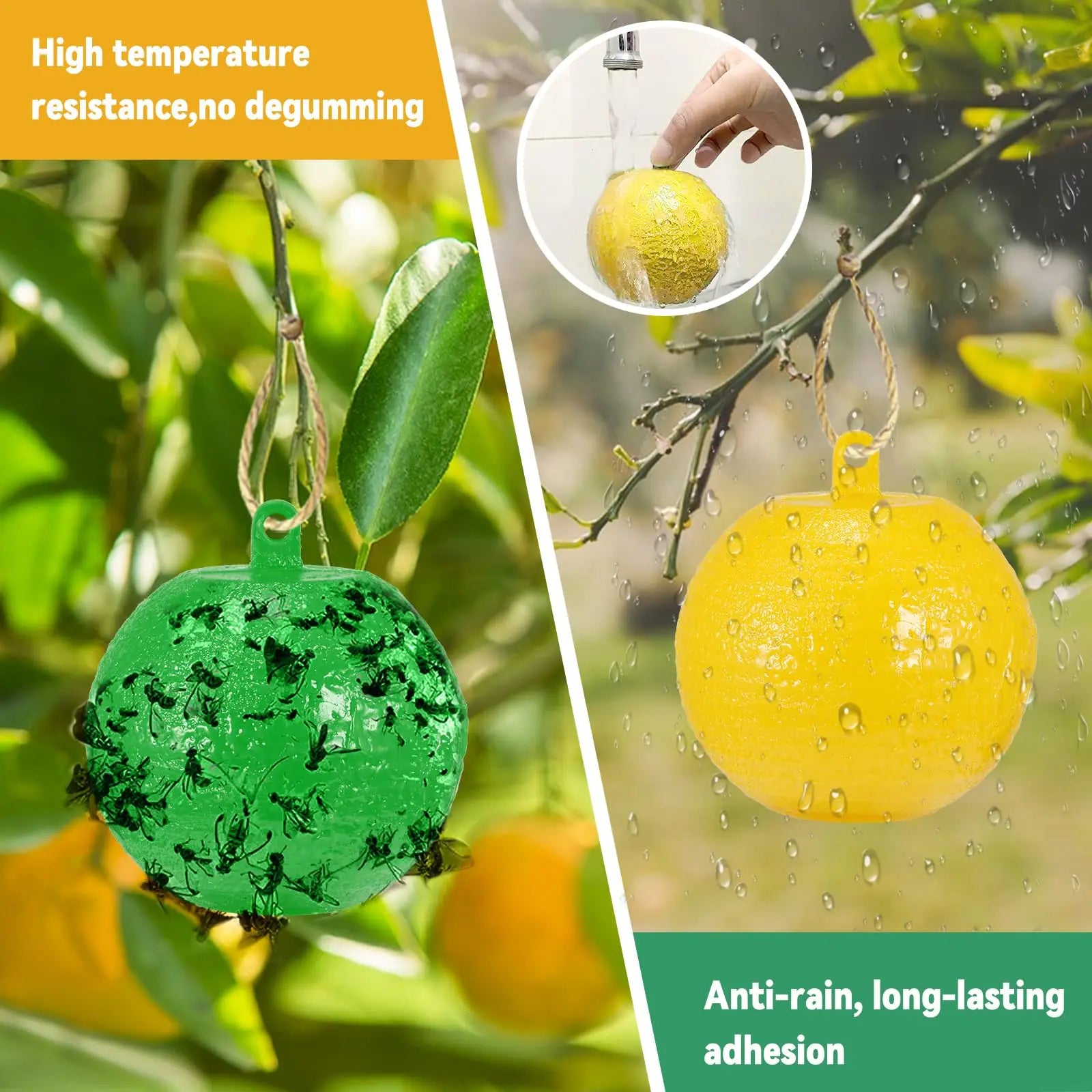 FlyGuard Hängende Obstfliegenfalle | 8 cm | Insekten- & Mückenfänger | Garten & Innenbereich