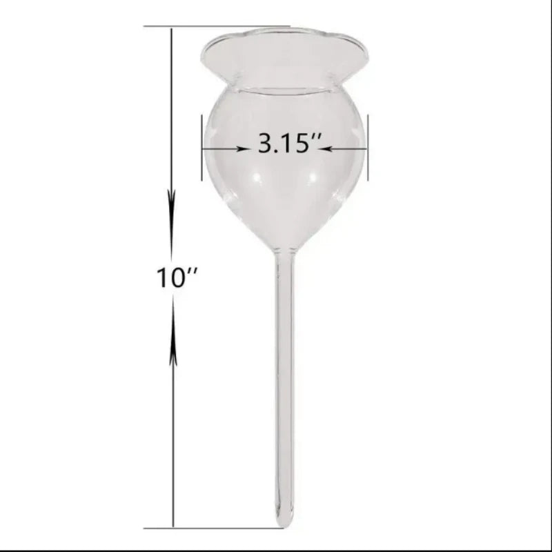 FloraGlobe Selbstbewässernde Pflanzkugeln | Handgeblasenes Glas 2er Set | Automatische Bewässerung