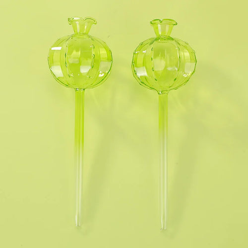 AquaGlobe Selbstbewässernde Pflanzkugeln | Glas 2er Set | Für Innen- & Außenbereich