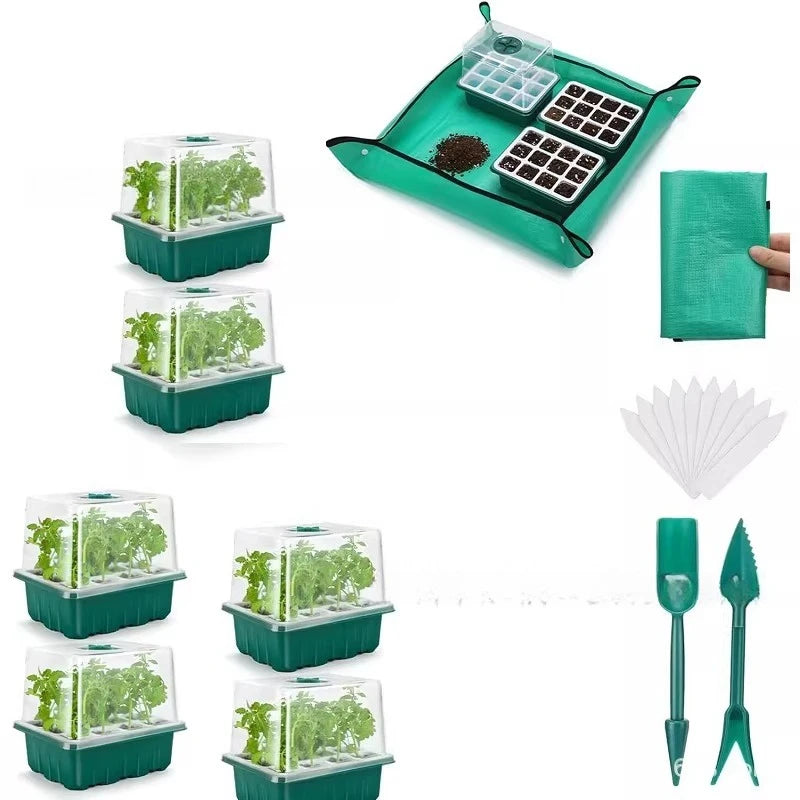 Seedora | Anzuchtplatte mit 12 Pflanzzellen | Wiederverwendbare Aussaatschale für Kräuter, Gemüse und Blumen