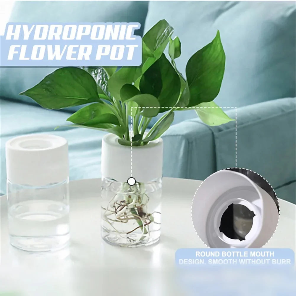 Aqualia | Hydrokultur Pflanzgefäß | Selbstbewässernder Blumentopf | Transparentes Design 14 cm