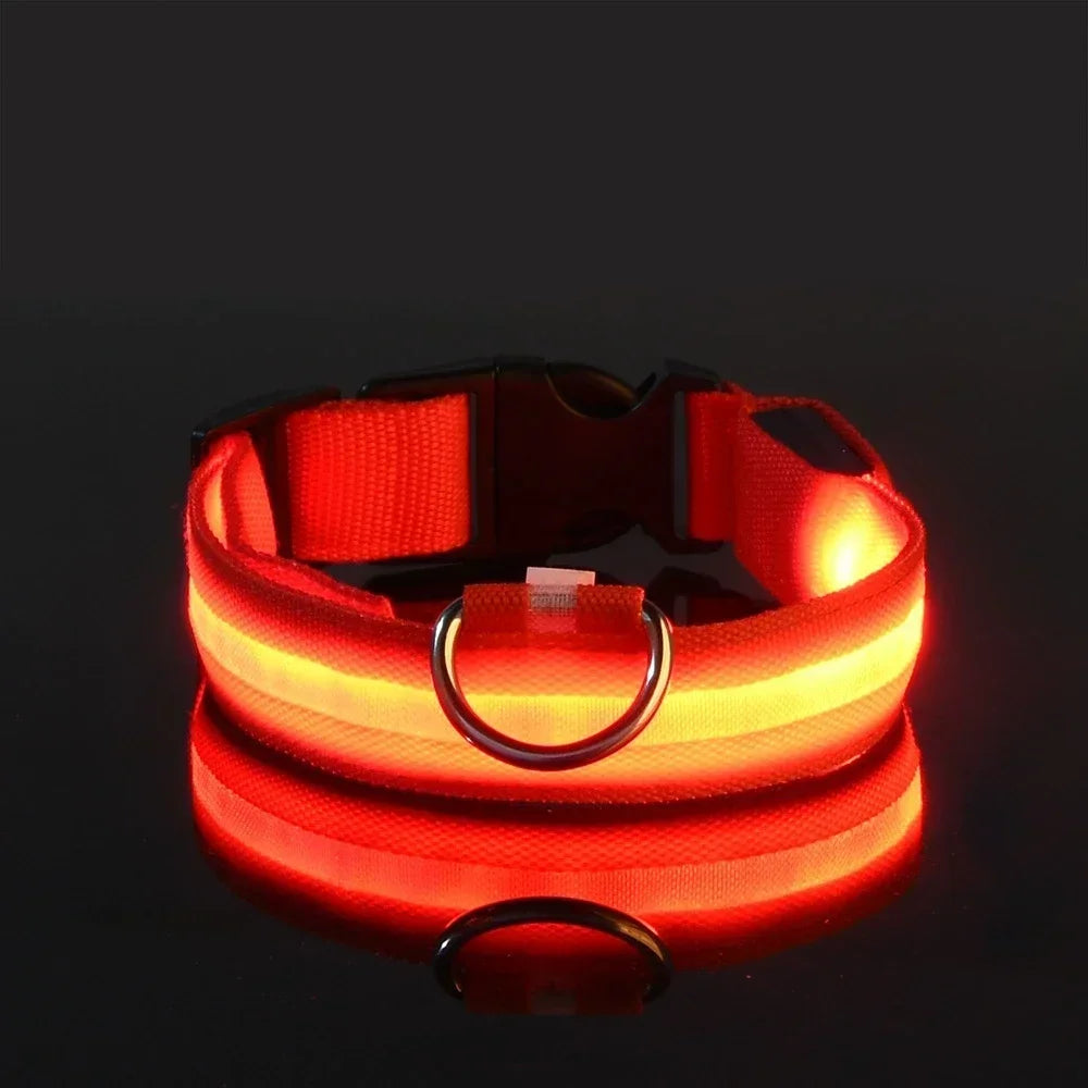 LED Hundehalsband | Leuchtendes Sicherheits-Halsband für Hunde | Wiederaufladbar & Blinkend | Lumipaw