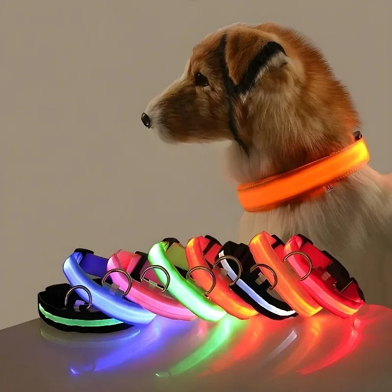 LED Hundehalsband | Leuchtendes Sicherheits-Halsband für Hunde | Wiederaufladbar & Blinkend | Lumipaw