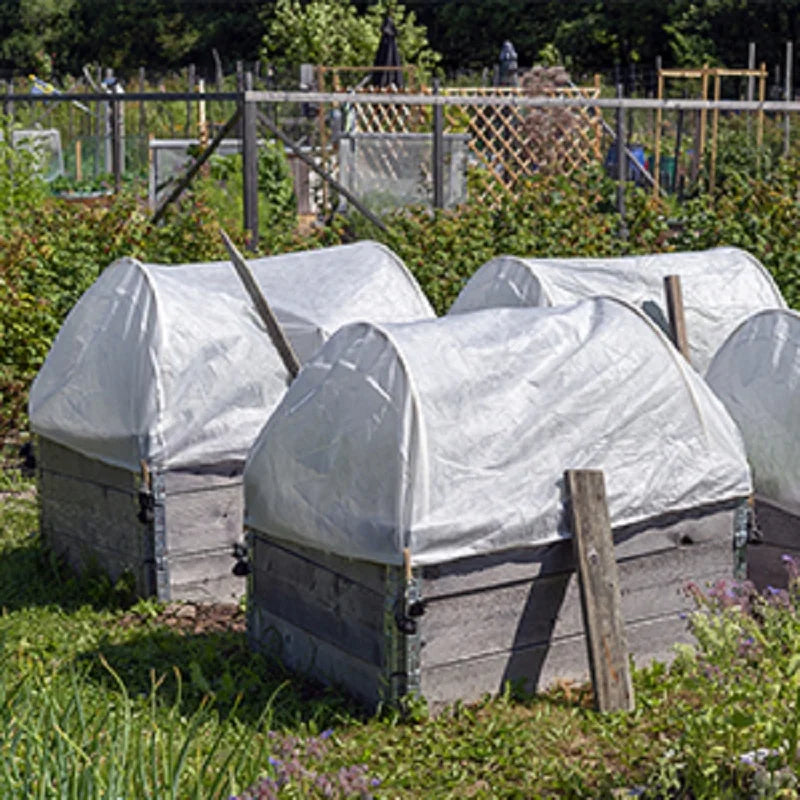 GrowShield Pro Pflanzenschutz Vlies | Frostschutz & Insektenschutz | Lichtdurchlässig | Weiß