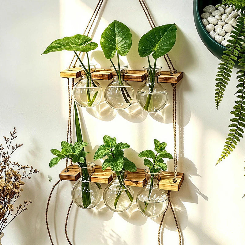 HydroVana | Boho Wandvase für Hydrokultur | Hängende Glasvase mit Holzrahmen | Wanddekoration für Pflanzen