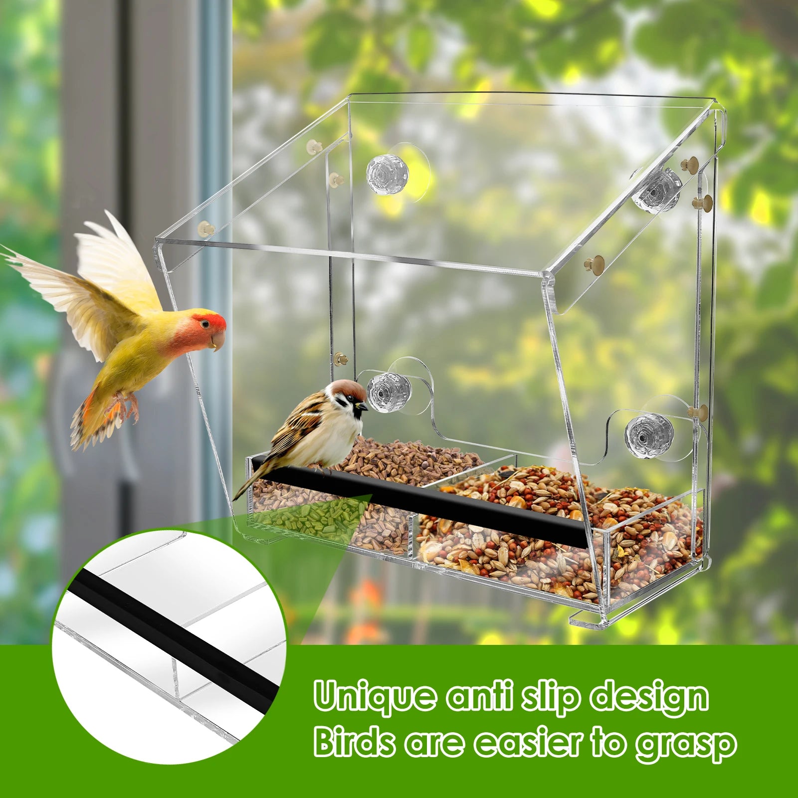 BirdVista Acryl-Vogelfutterspender | Fensterhalterung | Mit Saugnäpfen | Transparent für Vogelbeobachtung