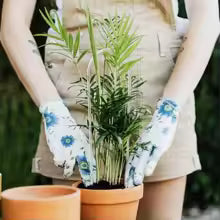 ClearGrow U-förmiger Pflanzenständer Acryl | 2er Set | Indoor Kletterhilfe | Stilvolles Rankgitter