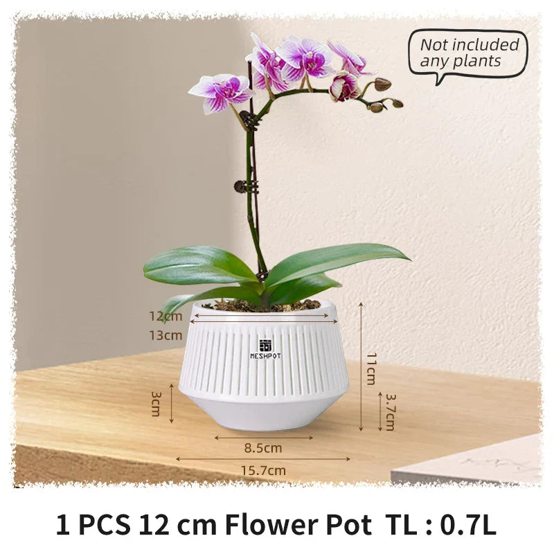 Aëria Orchid Pot | Ventilated Plant Pot with Drainage Holes | 12 cm | Durable PP Material for Indoor & Outdoor Use