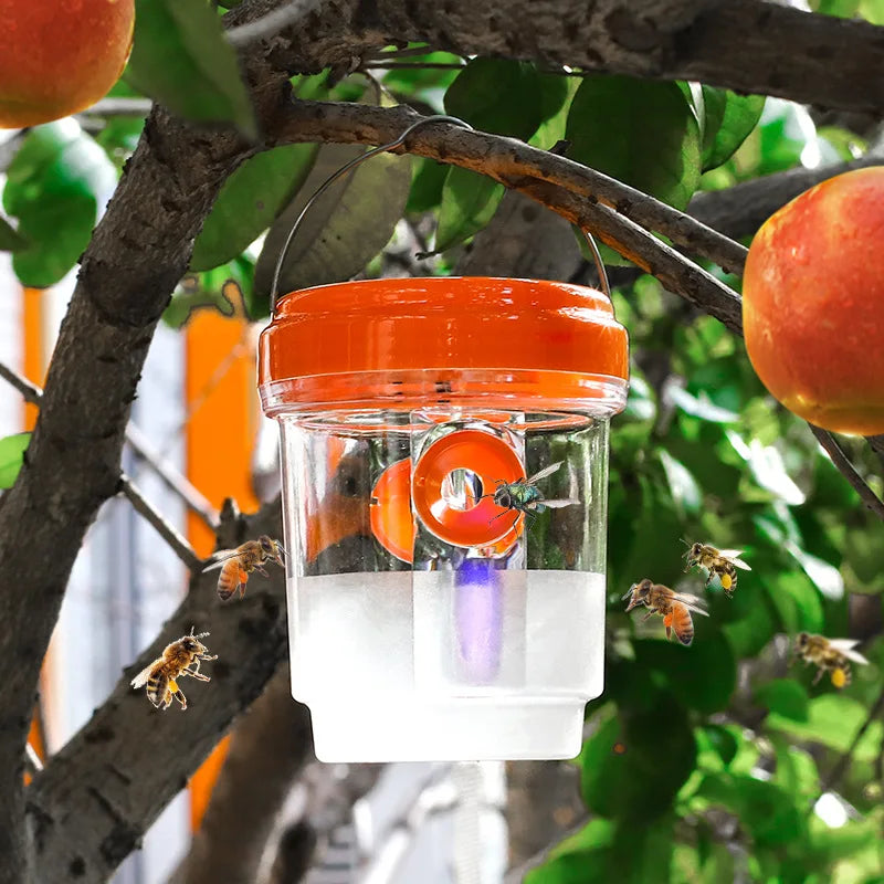 EcoTrap Durchsichtige Outdoor-Insektenfalle | Kunststoff | Effektiv gegen Fruchtfliegen & Wespen | Transparent zur einfachen Kontrolle
