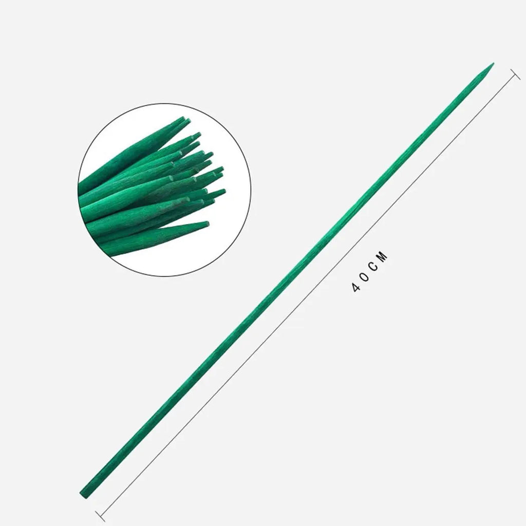 GreenCore Garden Pflanzstäbe 40 cm | 10er Set Bambus | Grün | Pflanzenstütze