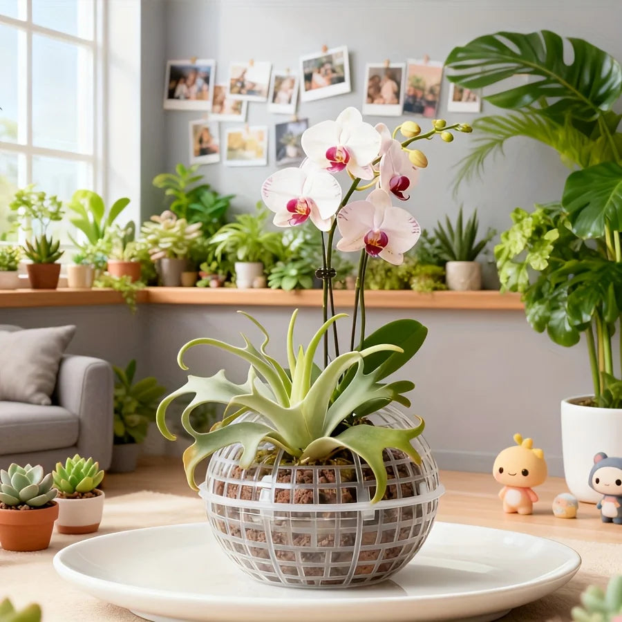 GreenSphere Moderne Hänge-Mooskugel | Kunststoff mit Abflussloch | Zubehör für Orchideen & Farne | Indoor & Outdoor