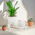 CatGarden Cartoon Katzen-Schwanz Blumentopf | Kreative Pflanzendeko | Sukkulenten & Kakteen für Garten, Balkon & Zuhause