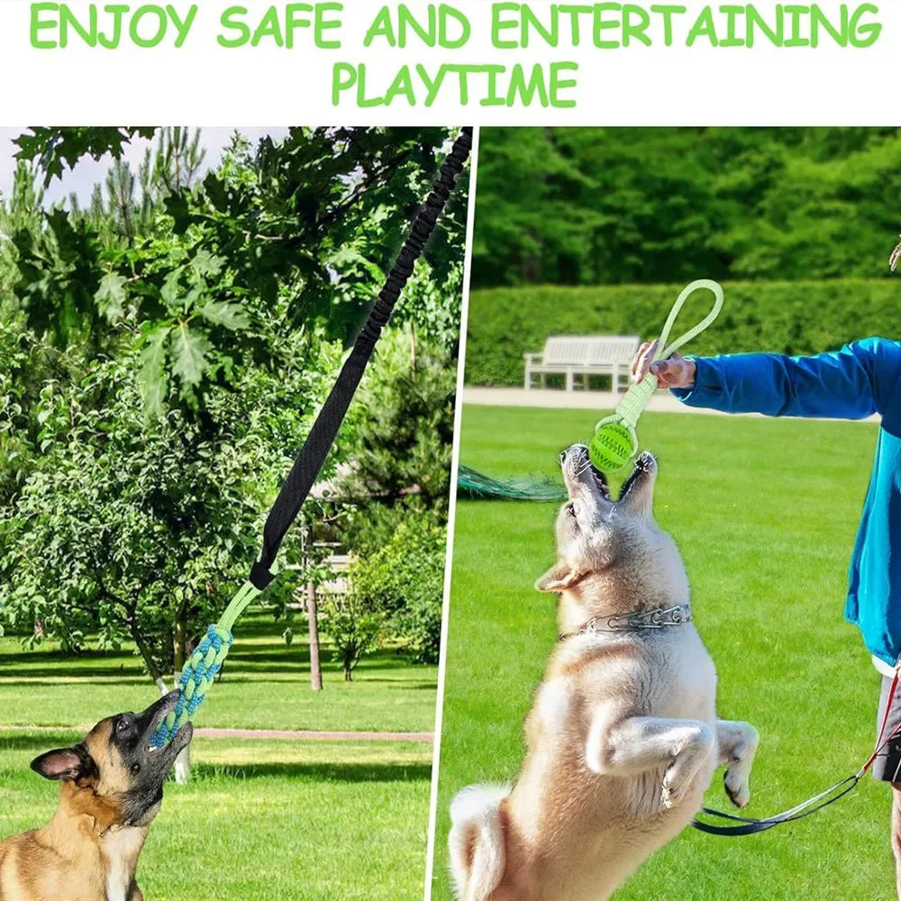 TugSpring Hundespielzeug Zugseil mit Ball | Interaktiv für Drinnen & Draußen | Federseil für Zerrspiele | Kauspielzeug für Welpen | Zahnpflege