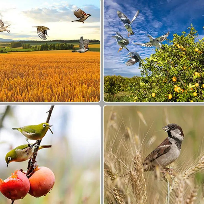 Guardavio | Solarbetriebener Tier- & Vogelvertreiber | Wasserdicht IP55 | 13 Abschreckungssounds | Für Garten und Obstbäume