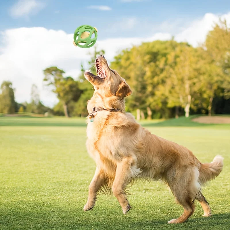 BelloRing Hundespielzeug Kauring mit Glocke | Wurf- & Flugring | Bissfest & langlebig | Interaktives Training | Für Solo- & gemeinsame Spiele