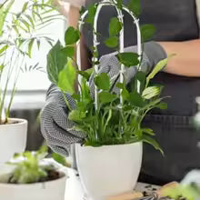 ClearGrow U-förmiger Pflanzenständer Acryl | 2er Set | Indoor Kletterhilfe | Stilvolles Rankgitter
