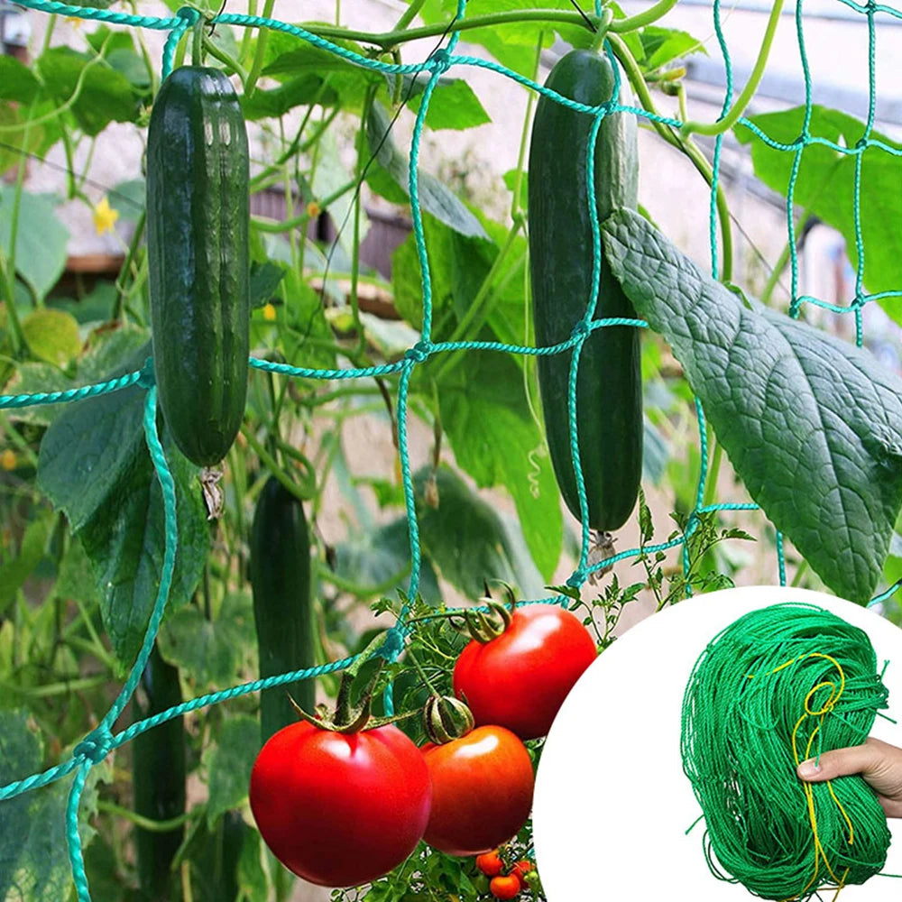Rankora | Ranknetz aus Nylon | Extra Starkes Kletternetz für Gurken, Tomaten & Weinreben | Belastbares Gartennetz