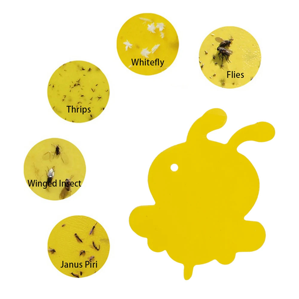 BioFang 59-tlg. Gelbe Fliegenfalle | Doppelseitige Klebefallen für Insekten & Fruchtfliegen | Nicht-toxisch für Pflanzen