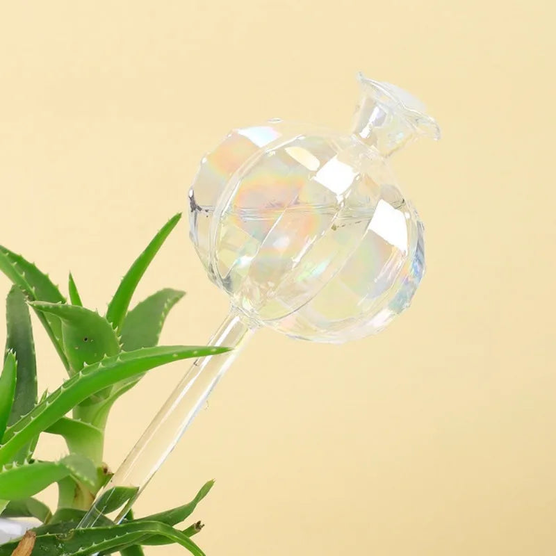 AquaGlobe Selbstbewässernde Pflanzkugeln | Glas 2er Set | Für Innen- & Außenbereich