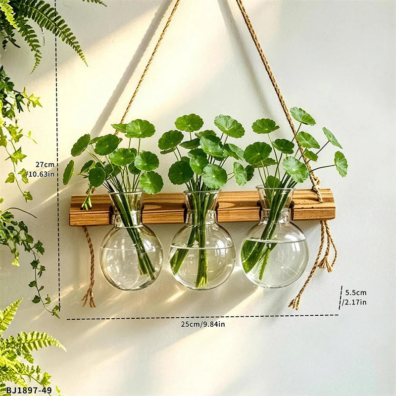 HydroVana | Boho Wandvase für Hydrokultur | Hängende Glasvase mit Holzrahmen | Wanddekoration für Pflanzen