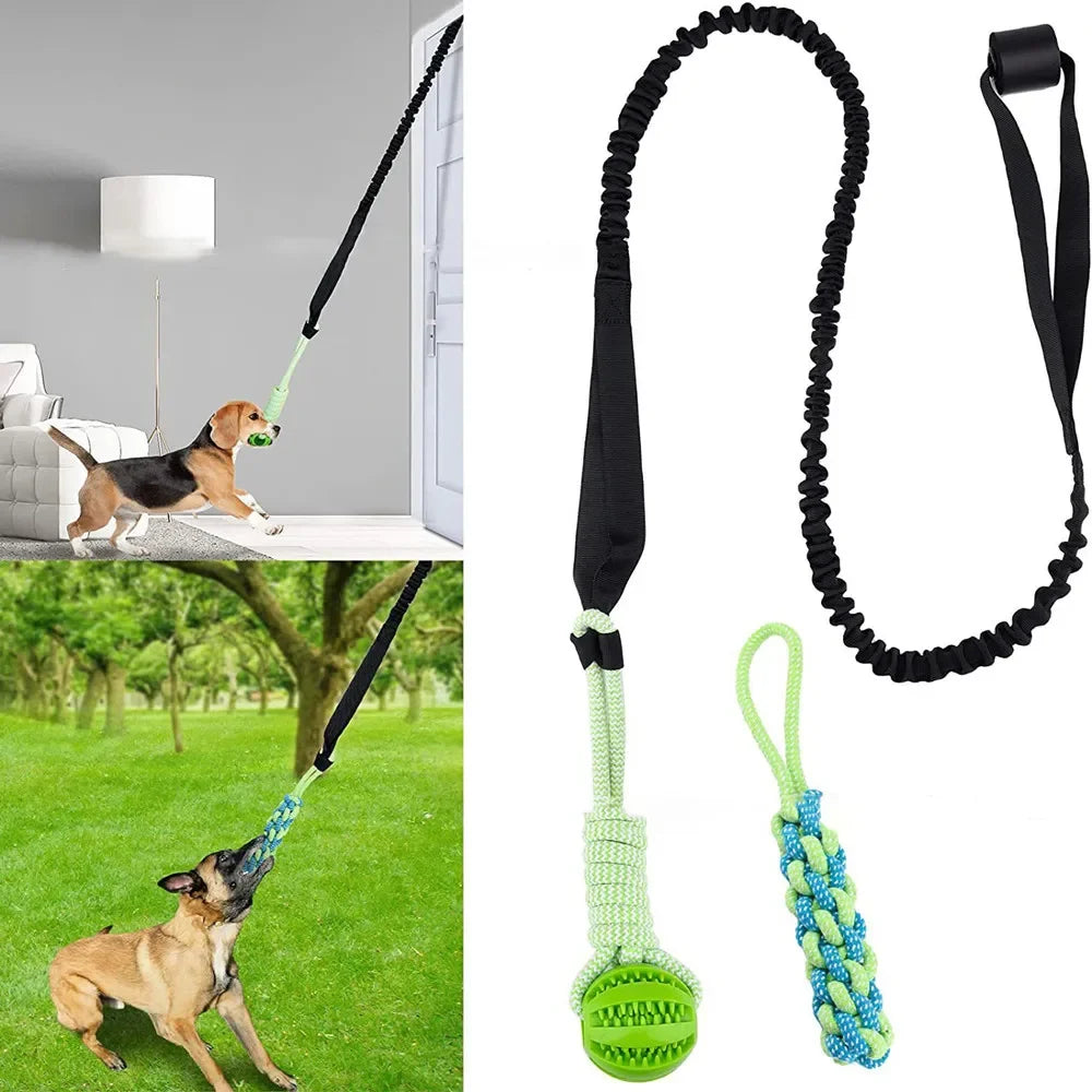 TugSpring Hundespielzeug Zugseil mit Ball | Interaktiv für Drinnen & Draußen | Federseil für Zerrspiele | Kauspielzeug für Welpen | Zahnpflege
