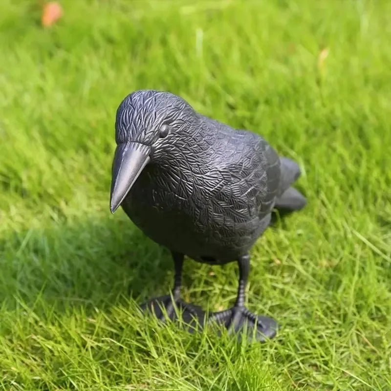 Corvexis Krähen Attrappe 35 cm | Vogelabwehr Rabe aus Kunststoff | Garten & Balkon Dekoration
