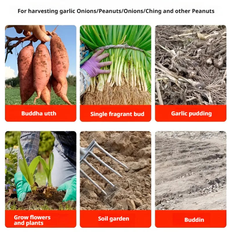 AgriTine Gartenforke 4-Zinken | Manganstahl Handforke | Bodenlockerer & Unkrautentferner | Landwirtschaft & Garten