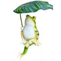 Frovia Garden Frosch Figur Deko | Gartenfigur aus Resin | Grün | Cartoon Design