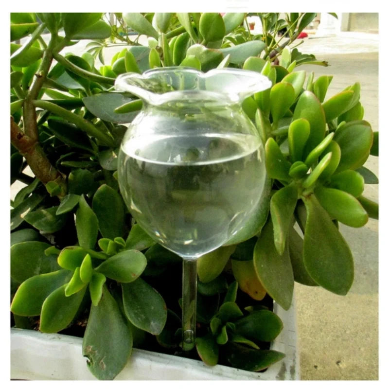 FloraGlobe Selbstbewässernde Pflanzkugeln | Handgeblasenes Glas 2er Set | Automatische Bewässerung