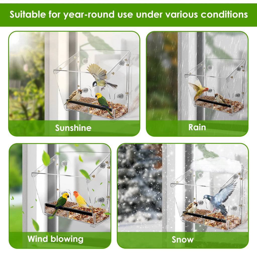 BirdVista Acryl-Vogelfutterspender | Fensterhalterung | Mit Saugnäpfen | Transparent für Vogelbeobachtung