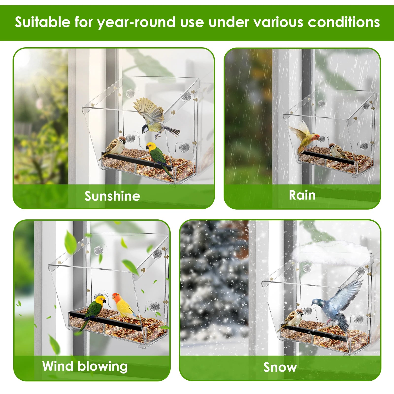 BirdVista Acryl-Vogelfutterspender | Fensterhalterung | Mit Saugnäpfen | Transparent für Vogelbeobachtung