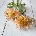 Floravienne Künstliche Chrysantheme 38 cm | große Blüte 10 cm | realistische Deko Blume