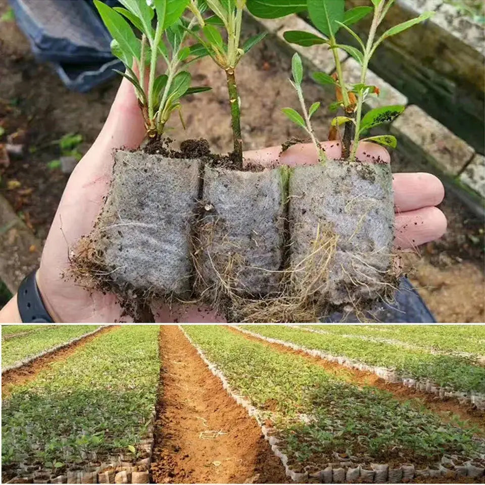 EcoSprout 100 Bio-Anzuchtbeutel | Pflanzenzüchtung | Wiederverwendbare Stofftöpfe für Garten & Zuhause