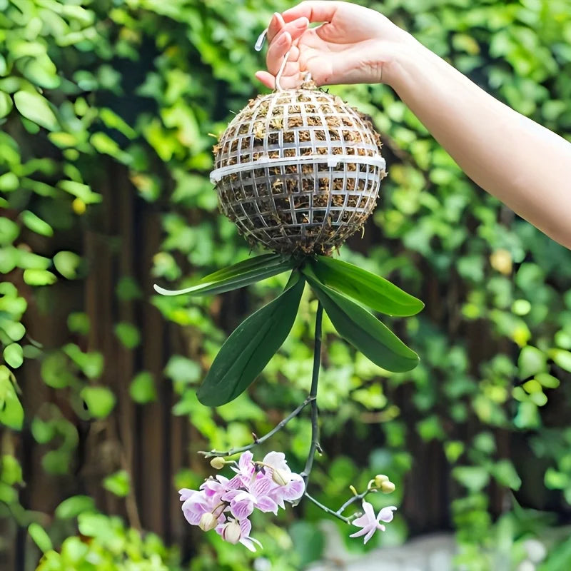 GreenSphere Moderne Hänge-Mooskugel | Kunststoff mit Abflussloch | Zubehör für Orchideen & Farne | Indoor & Outdoor